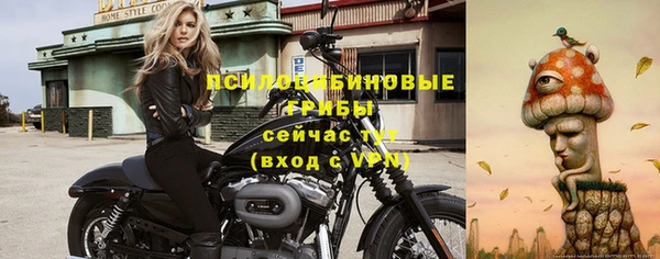 а пвп мука Абаза