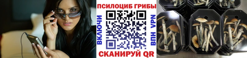 Псилоцибиновые грибы MAGIC MUSHROOMS  Северская 