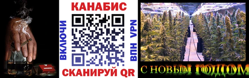 ОМГ ОМГ вход  Северская  Канабис AK-47 
